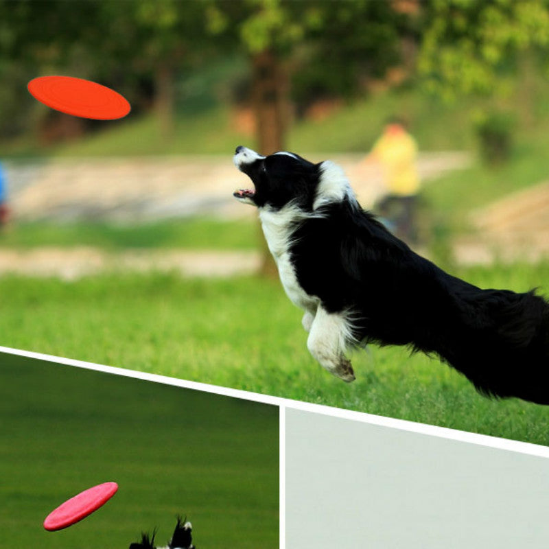 SILICONE FRISBEE FOR DOG